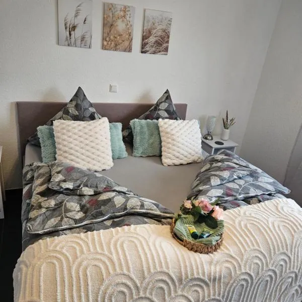 Ferienwohnung Elya, - Ruhe, Wellness und Shopping in perfekter Lage，位于巴特明斯特艾弗尔的酒店