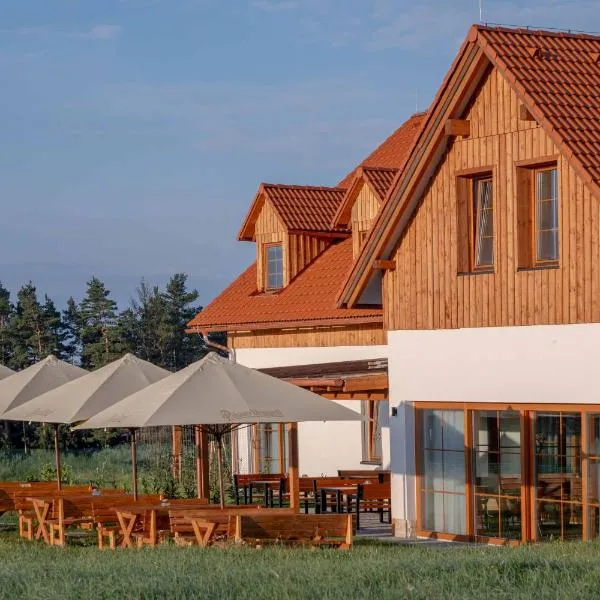 Resort Vysoká Lípa - Wellness Hotel，位于耶什赫维采的酒店