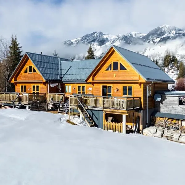 Alpen - Chalets Ausseerland，位于巴德米滕多夫的酒店
