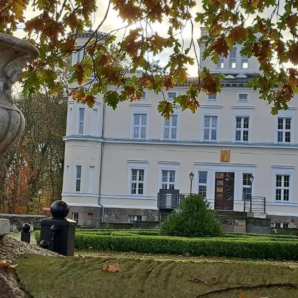 Apartamenty w Pałacu Lubiechowo，位于Lubiechowo的酒店
