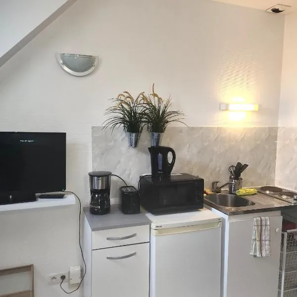 Le Studio Royal Place Victor Hugo，位于格勒诺布尔的酒店