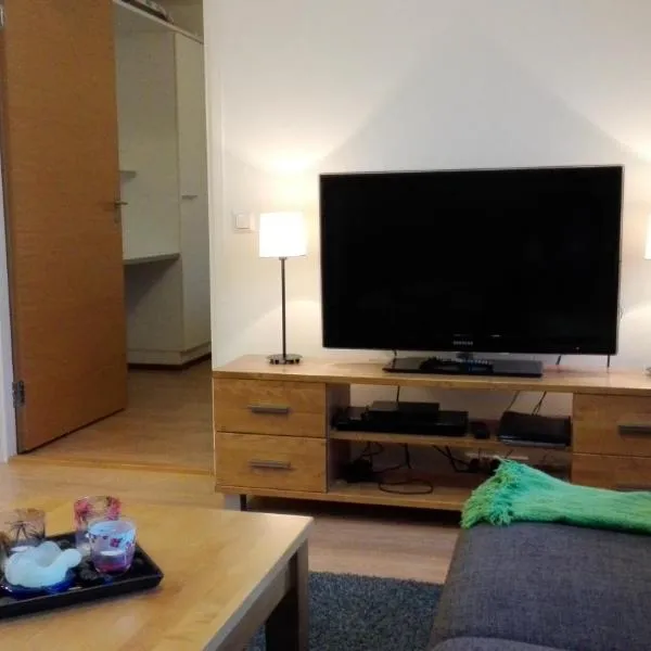 Apartment Ylläs Ski Chalets 8106，位于易拉斯加威的酒店