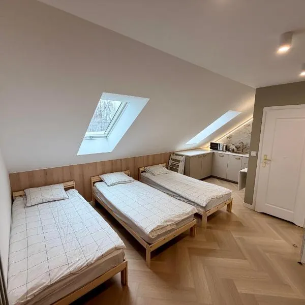 Pokoje Gościnne Lipowa，位于恰普利内克的酒店