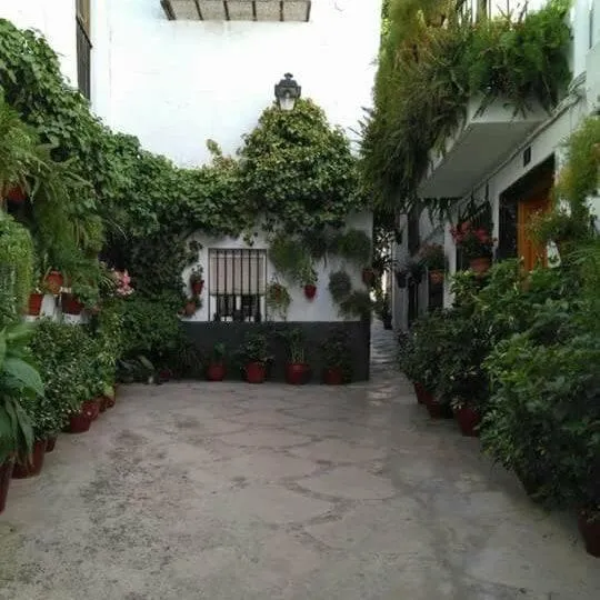 Casa Lara - Sierra de Cazorla，位于克萨达的酒店
