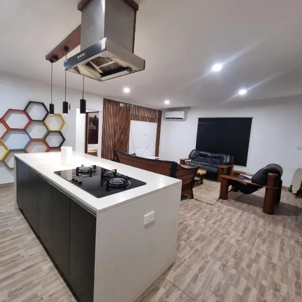 Vineyard Apartment，位于辛加东卡的酒店