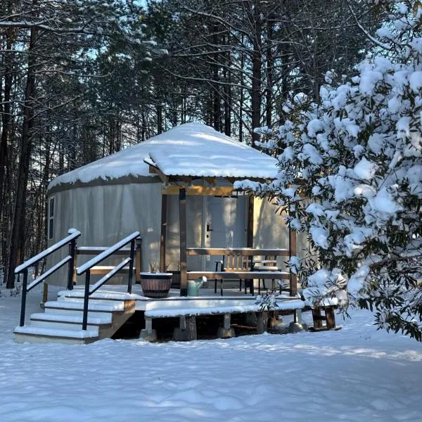 Peaceful Off-Grid Yurt Farm Stay with Modern Comforts - Optional Farm Breakfast，位于布莱德武德的酒店