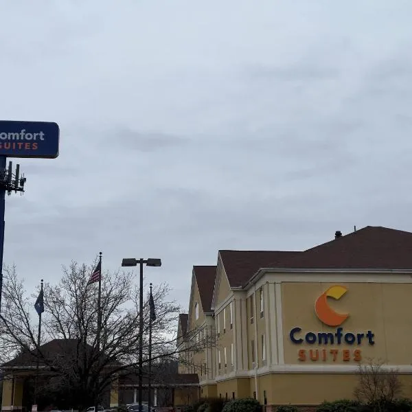 Comfort Suites Scranton near Montage Mountain，位于斯克兰顿的酒店
