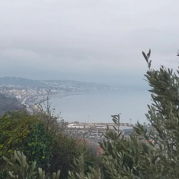 La casa di Carlo，位于安科纳的酒店