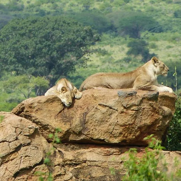 Tausa Tsavo Eco Lodge，位于Voi的酒店