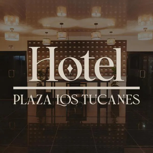 Hotel Plaza Los Tucanes,位于圣地亚哥的酒店