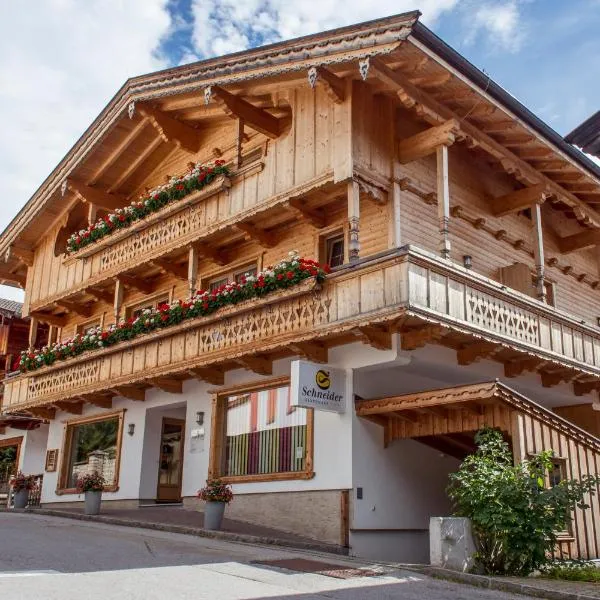Das GÄSTEHAUS SCHNEIDER am Dorfplatz，位于阿尔卑巴赫的酒店
