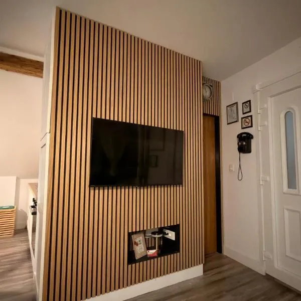 Apartment Sabljaci by the Lake，位于奥古林的酒店