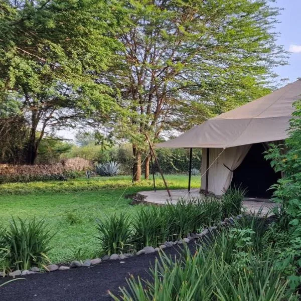 Dolly Farm & River Camp, Luxury Tents，位于育空河的酒店