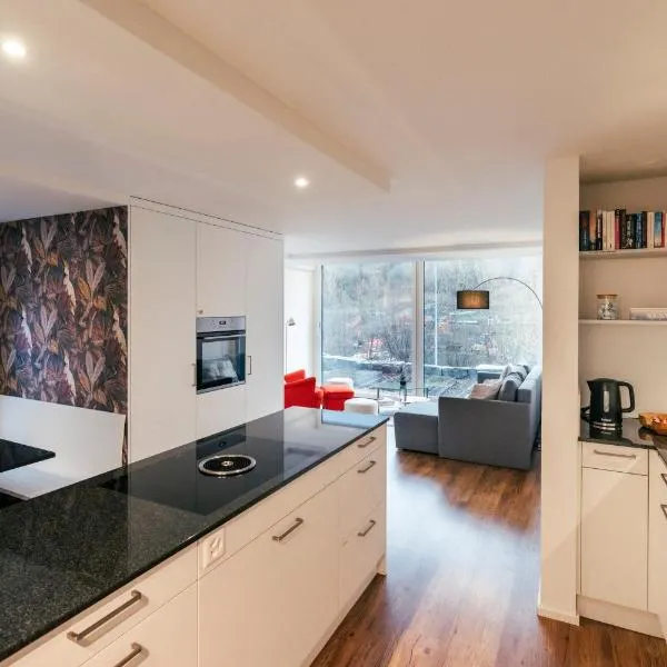 Neue Wohnung an Stadtrand mit Parkplatz，位于Ebikon的酒店