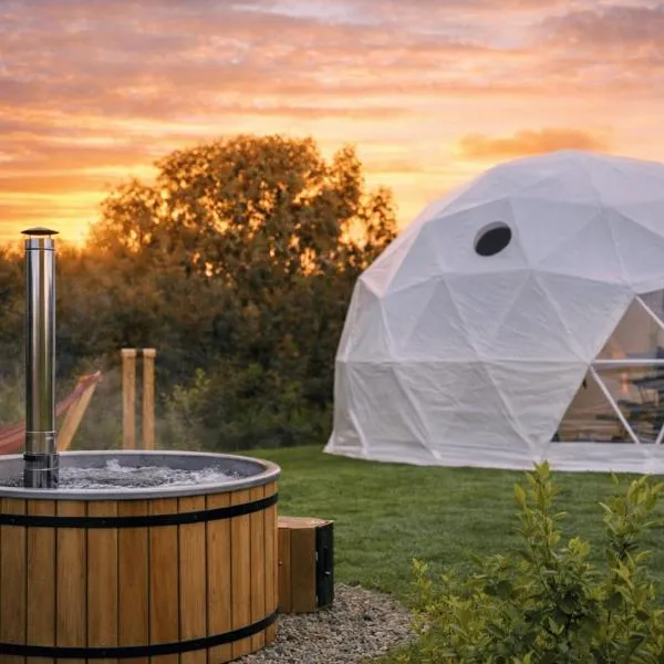 Alpaca Hideaway，位于Llanstadwell的酒店