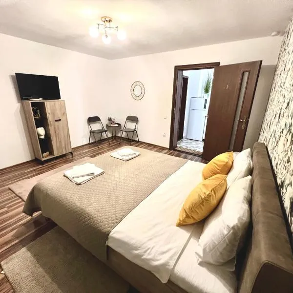 S-HOUSE Avrig cu Bucatarie Curte Privată Parcare Gratuită Terasa，位于阿夫里格的酒店