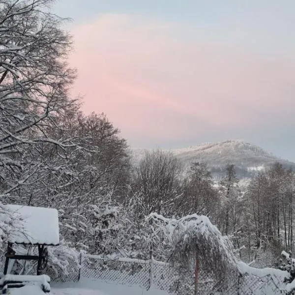 dziupla，位于Górki Wielkie的酒店