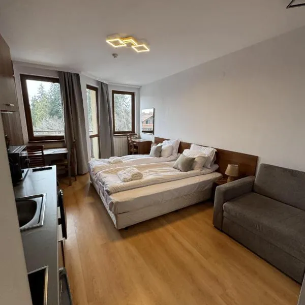 Villa Park Borovets，位于波罗维茨的酒店