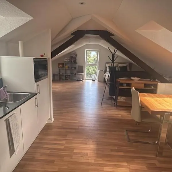 Bright attic apartment with charm，位于萨尔甘斯的酒店