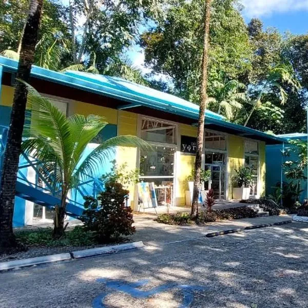 亚拉广场酒店，位于曼努埃尔安东尼奥的酒店