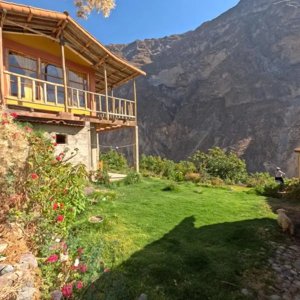 La Casa de Roy，位于Cosnihua的酒店