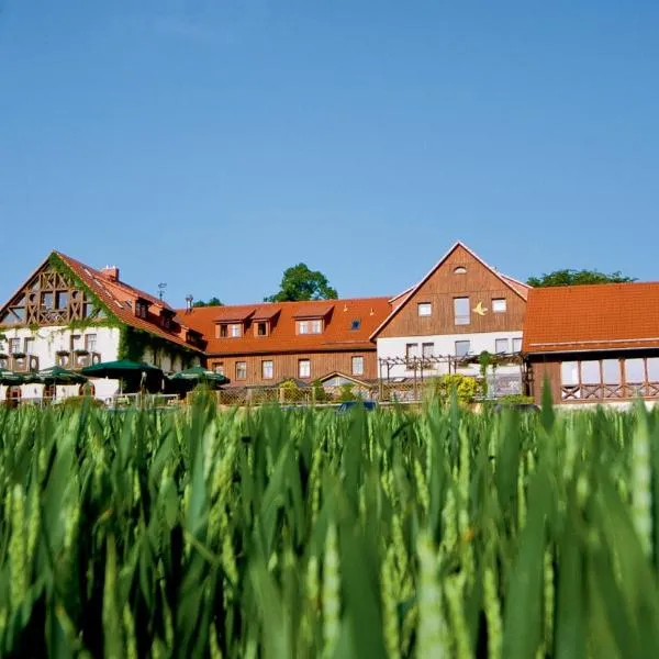 尼赫恩酒店，位于Grillenburg的酒店
