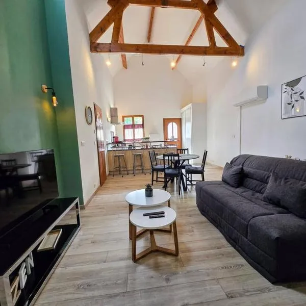 Lavoir - Séjour à Auxerre，位于欧塞尔的酒店