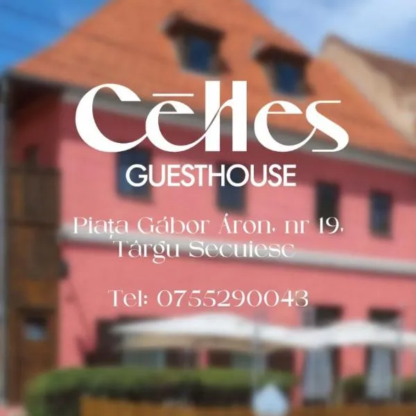 Céhes Guesthouse，位于特尔古-塞奎斯的酒店
