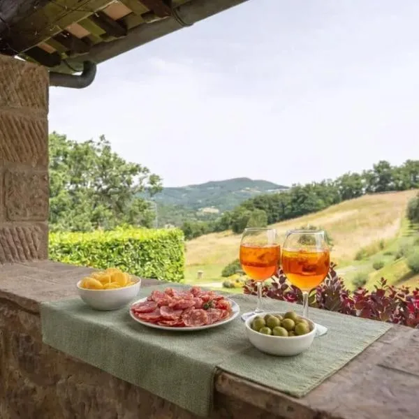Pugnano Alto -appartamento Castagna，位于Lisciano Niccone的酒店