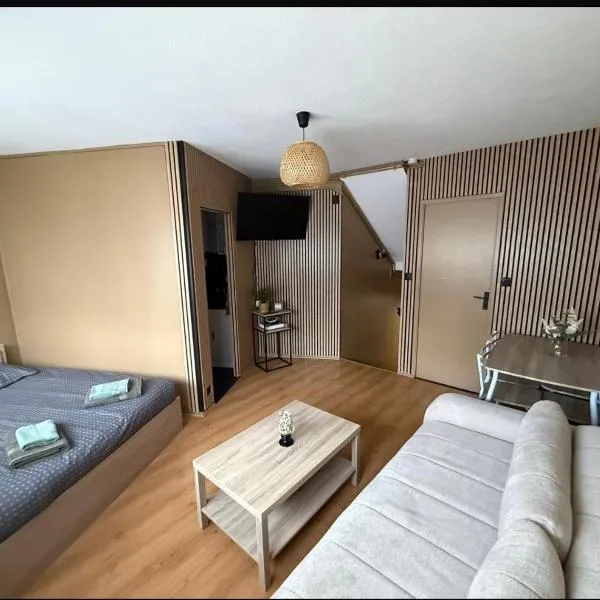 Studio - Chalon-sur-Saône，位于索恩河畔沙隆的酒店