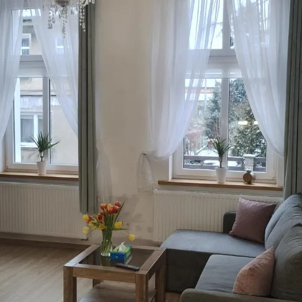 Apartament Kazimierza Wielkiego，位于Wschowa的酒店