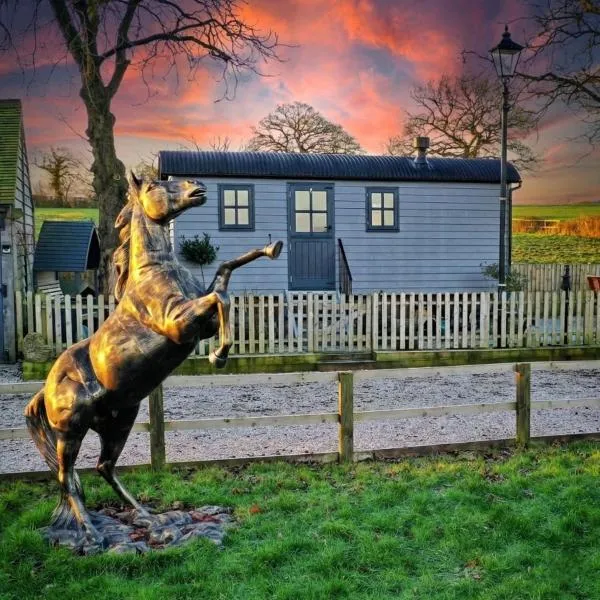 Owls Retreat, Meadowview House，位于特伦特河畔斯托克的酒店