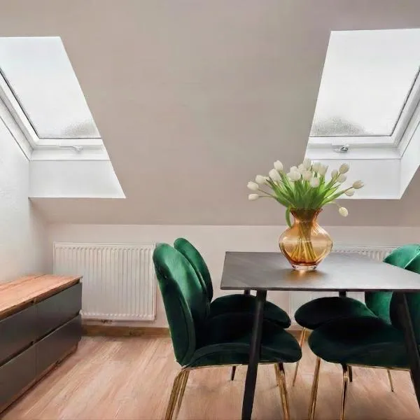 Family Apartments Zemlinsi 2，位于派尔巴赫的酒店