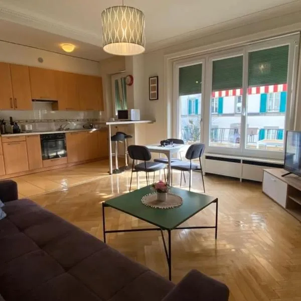 Large Apartment 7 minutes walking to Train station，位于洛桑的酒店