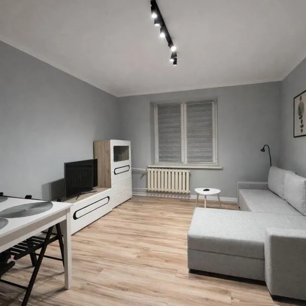 Apartament Centrum，位于普沃茨克的酒店