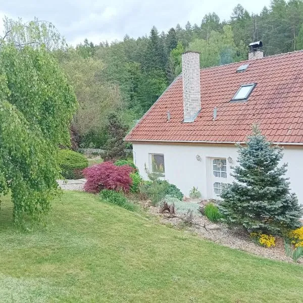 Ubytování Iris，位于Dolany的酒店