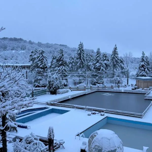 拜亚罗茜度假酒店，位于斯勒尼克的酒店