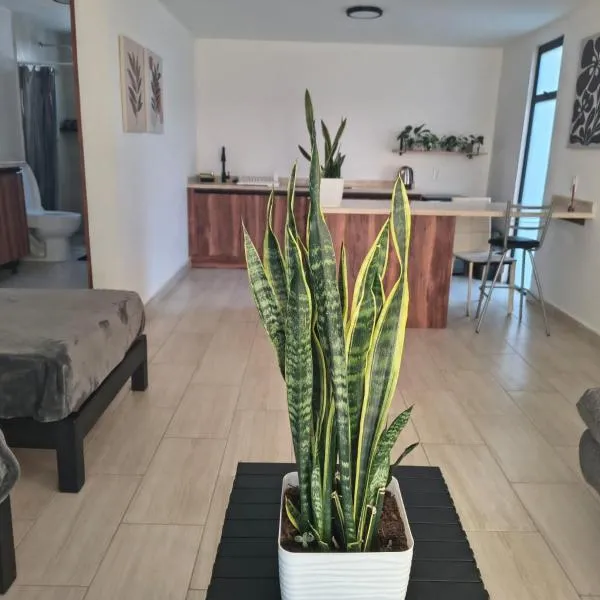 Estudio Lavanda，位于Santa Rosa de Jáuregui的酒店