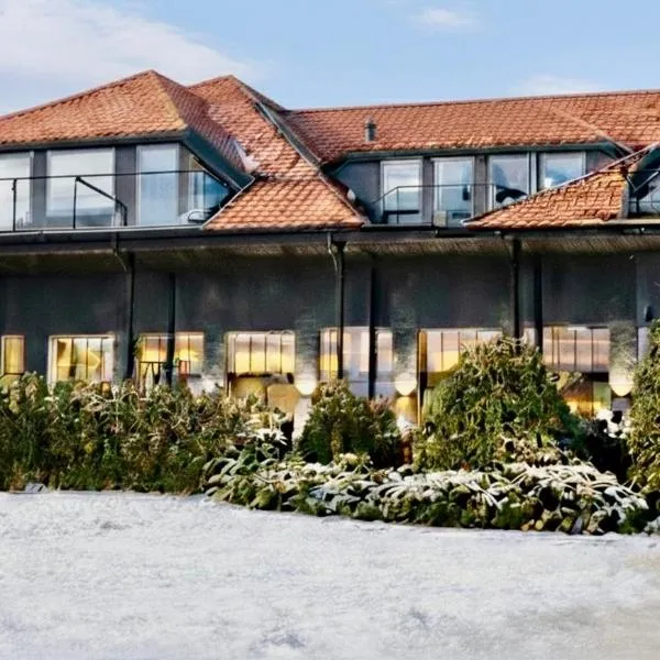 Polonez w Rymaniu，位于Rymań的酒店