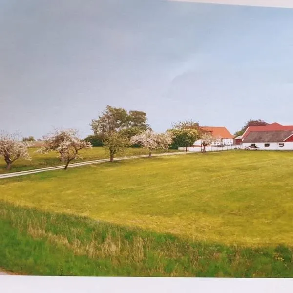 Apartment on a farm only 7 minutes from golf and beach，位于Västra Vemmenhög的酒店