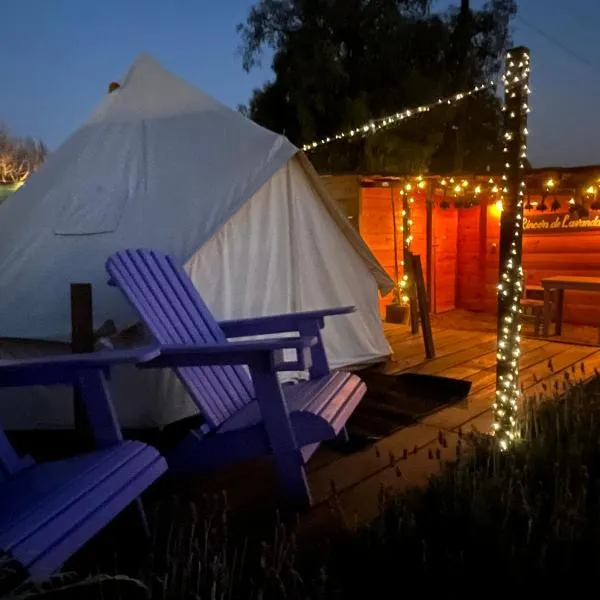 Glamping Rincón de Lavanda，位于Texcoco de Mora的酒店