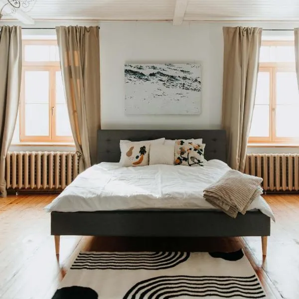 STRIĶU15 - Plašs studio dzīvoklis，位于萨尔杜斯的酒店