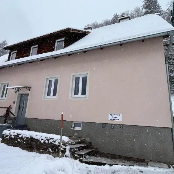 Haus Vranjes，位于Rosenau am Hengstpass的酒店