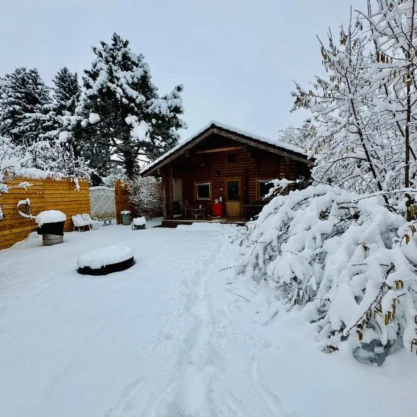Gemütliche Blockhütte in Wiennähe，位于Zöfing的酒店