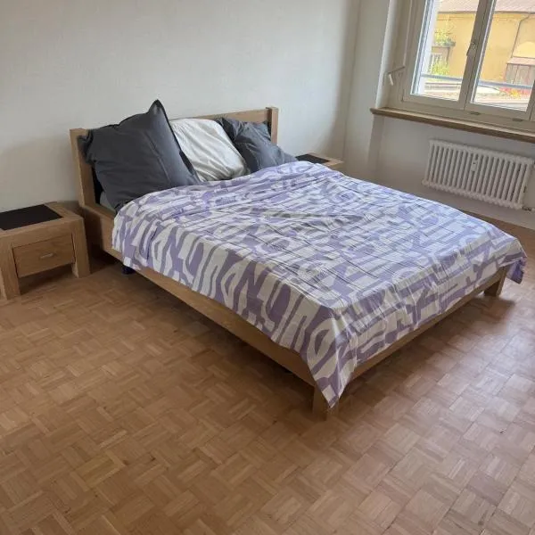 Shared Apartment in central Luzern，位于卢塞恩的酒店