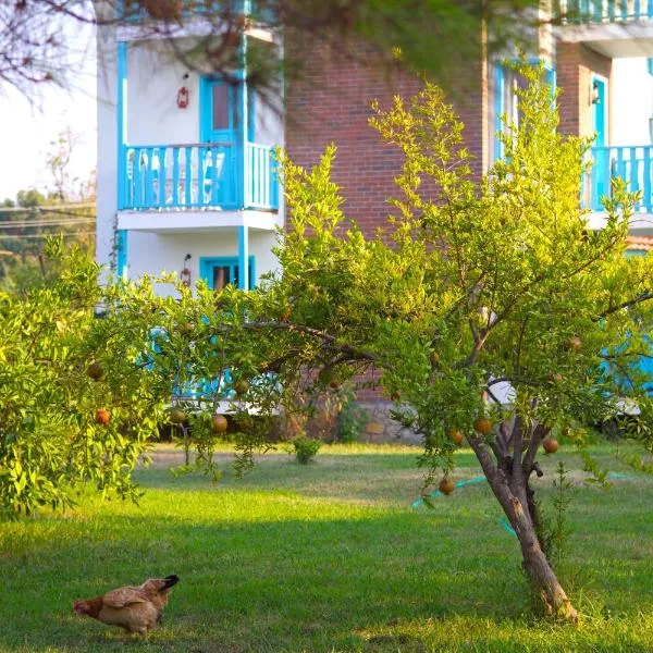 Yonca Lodge，位于费特希耶的酒店