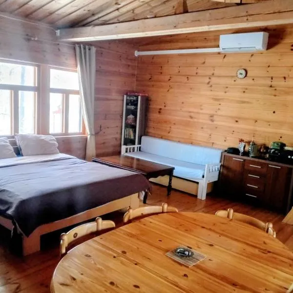 Riverside Cabin in Äänekoski Sauna, Hot Tub & Northern Lights，位于艾内科斯基的酒店