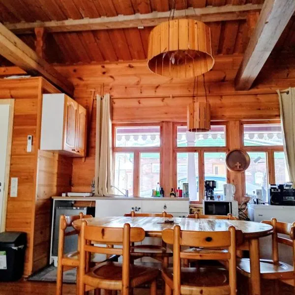 Riverside Chalet Äänekoski Sauna and Hot Tub Northern Lights，位于艾内科斯基的酒店