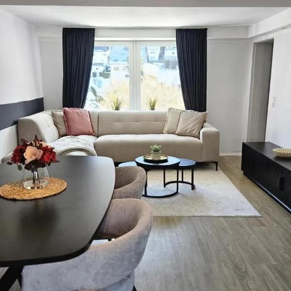 Sauerland Apartments，位于Schwalefeld的酒店