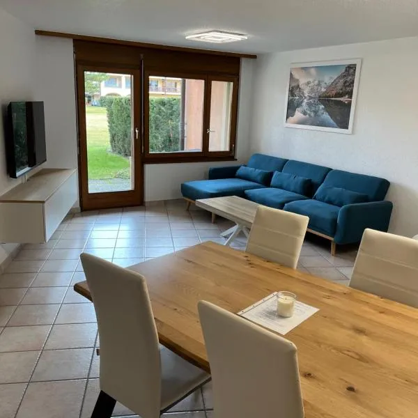 Cozy appartement aux Bains de Saillon，位于萨永的酒店